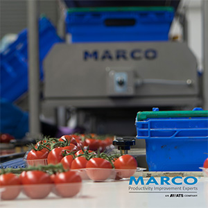 MARCO Tomato Industry