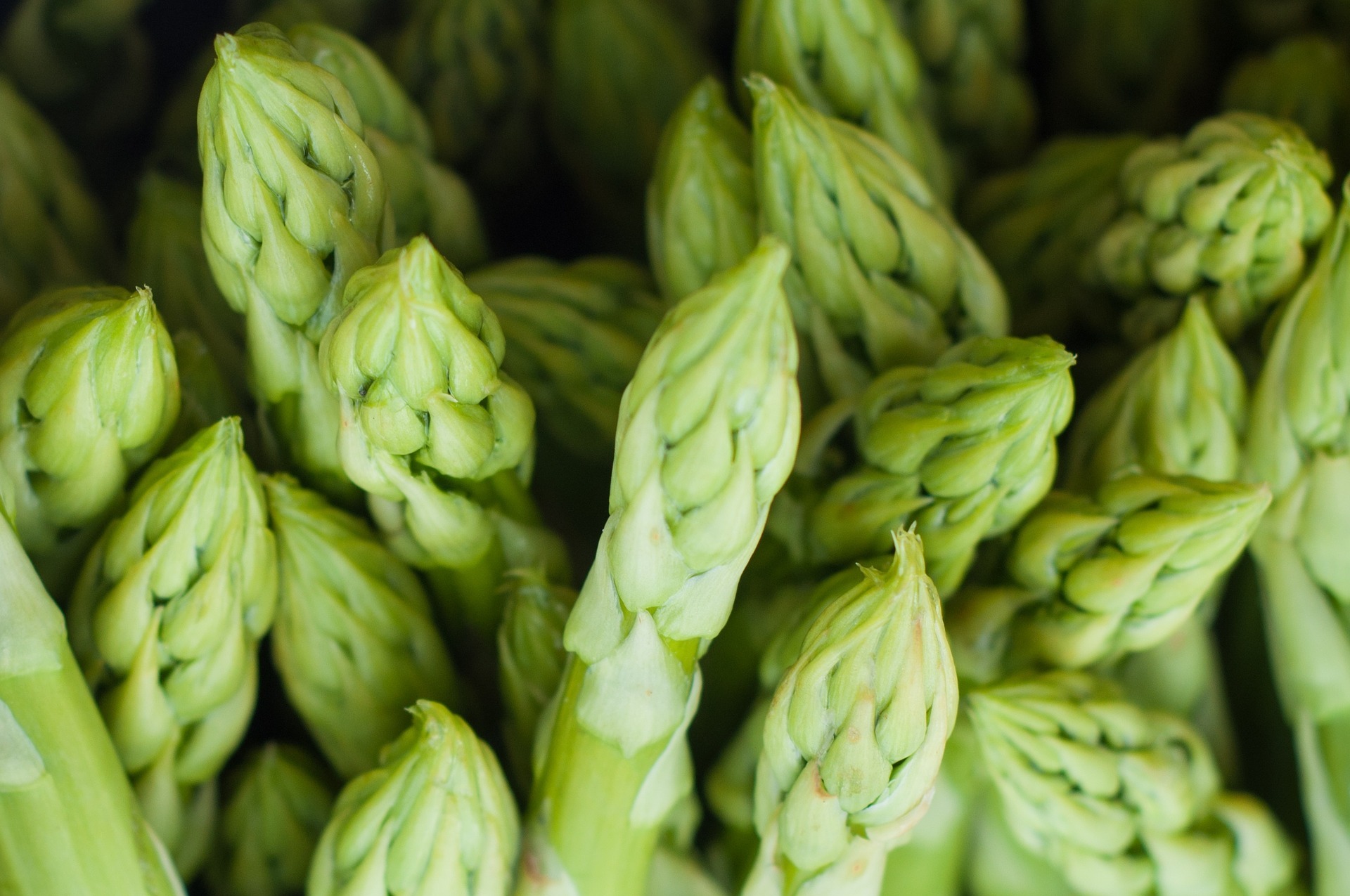 Asparagus Ends