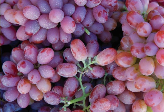 Grapes