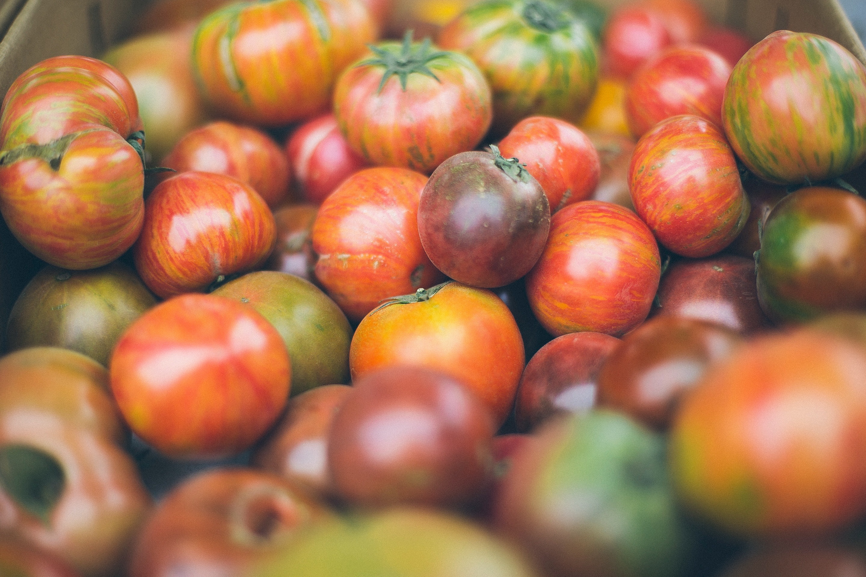Fruit