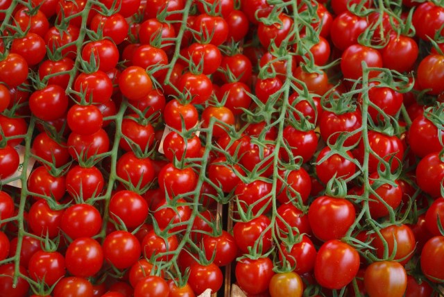 Tomatos