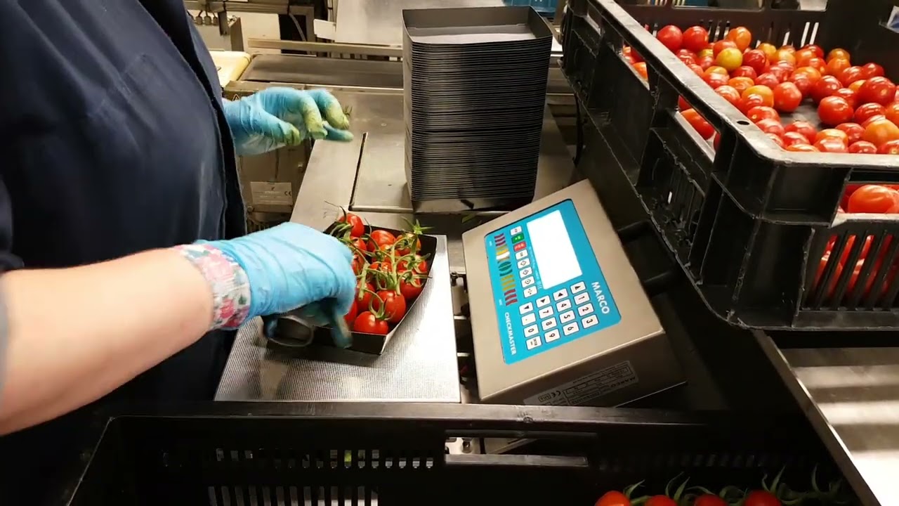Checkmaster Tomatoes on Vine (TOV) - CheckMaster Compact Tabletop Scales - Smart ...