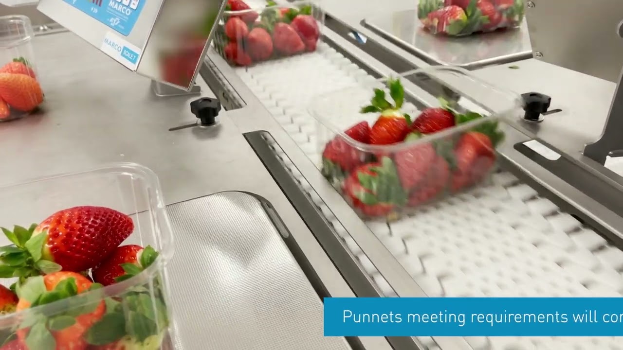 Product Rework Line Strawberries - Check Weigh & Rework Packing Line - Smart Weighing ...