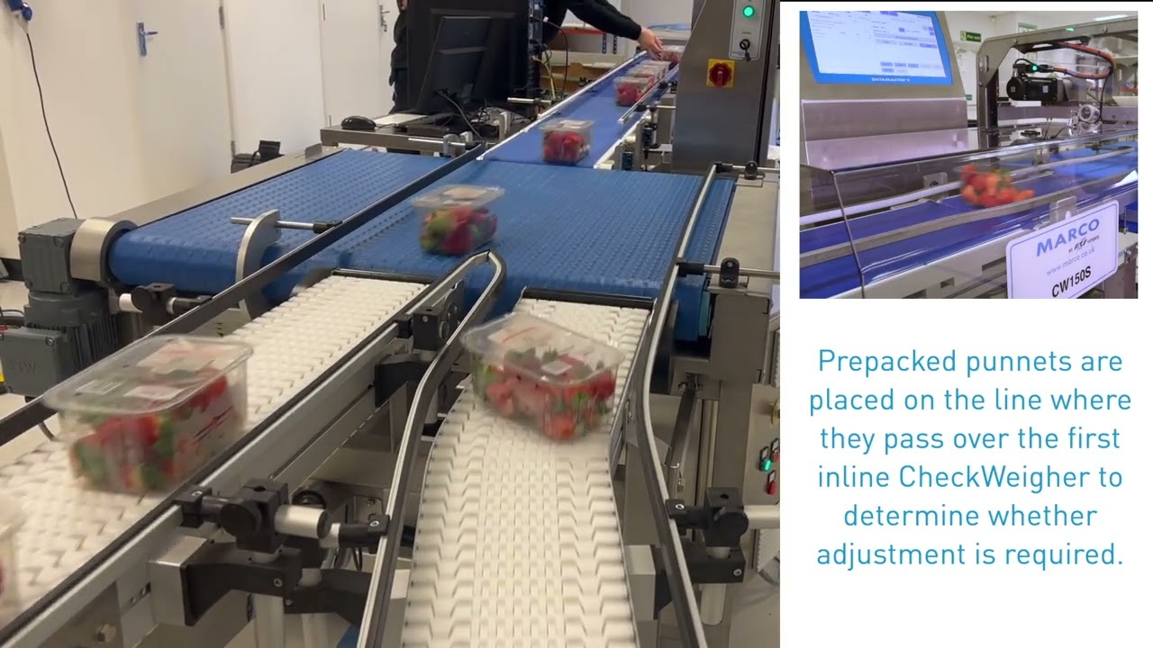 Product Rework Line Check-Weigh & Rework Line - Prefilled Punnets - Smart Weighing ...