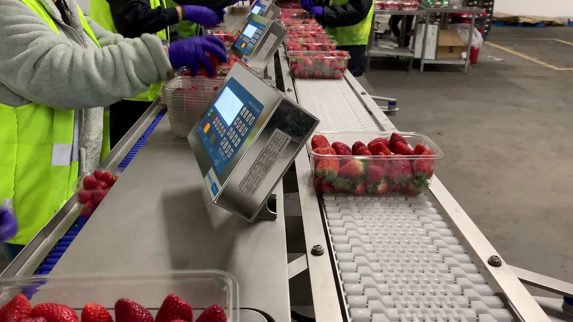 Visit Las Vegas to see MARCO systems demonstrated live! - Smart ...